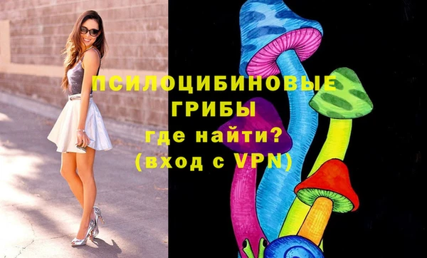 гашик Верхнеуральск