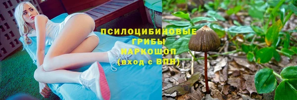 гашик Верхнеуральск