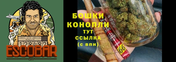 бошки Верея